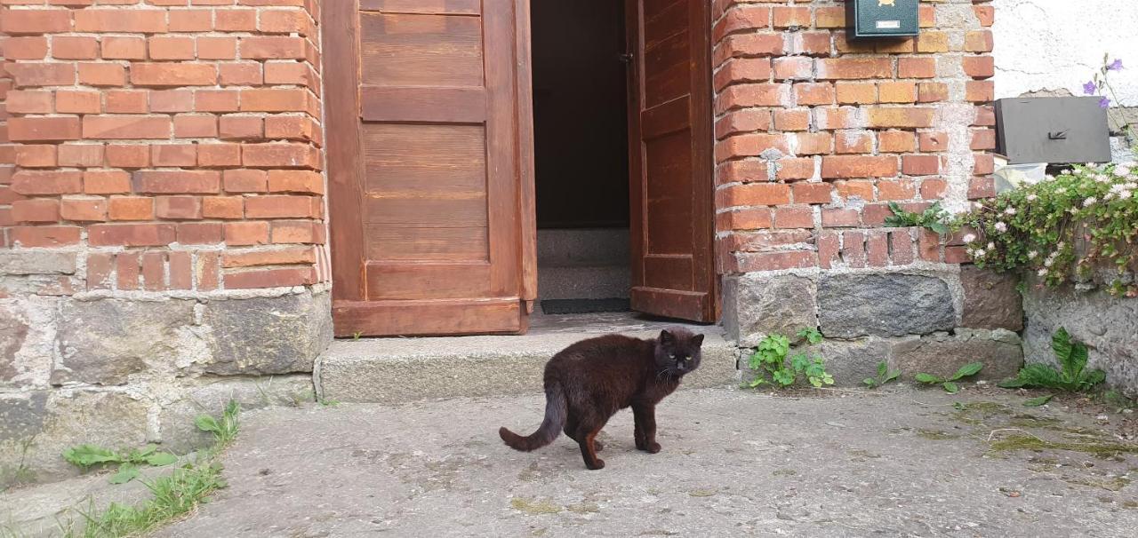 Mazurska Przystan Vila Dąbrówno Exterior foto